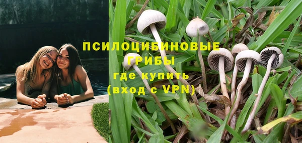 таблы Алзамай