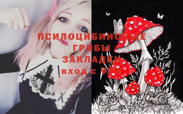 ешки Сатка