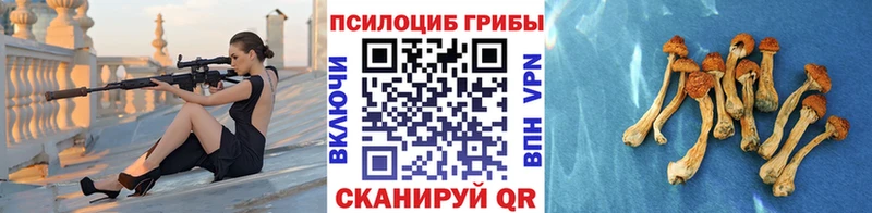 Галлюциногенные грибы прущие грибы  как найти наркотики  Бобров 